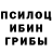 Псилоцибиновые грибы ЛСД KUTMAN KADYROV