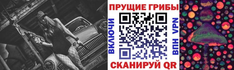 Псилоцибиновые грибы GOLDEN TEACHER  Купить  Облучье 