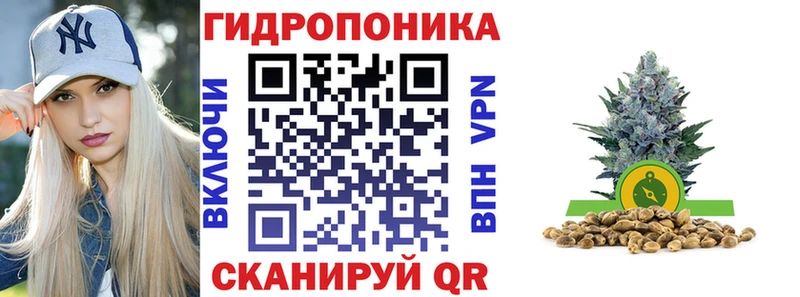 Купить закладки  Облучье  Бошки марихуана сатива 